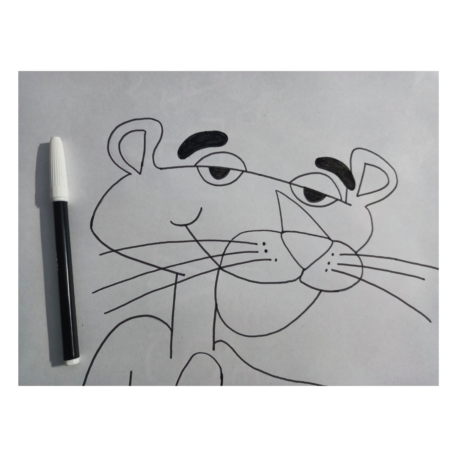Pink panther ð