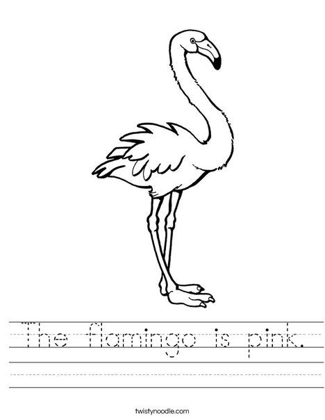 The flamingo is pink worksheet
