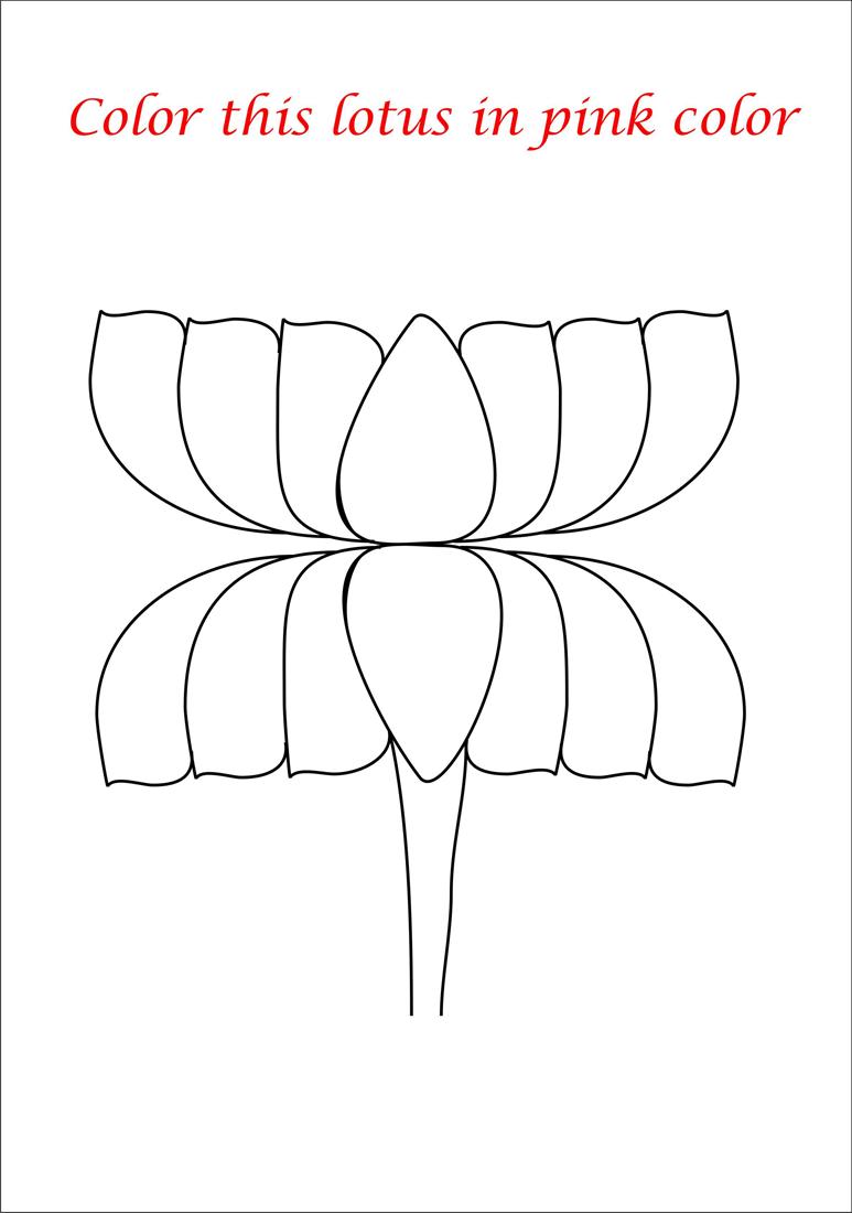 Pink lotus coloring page printable for kids