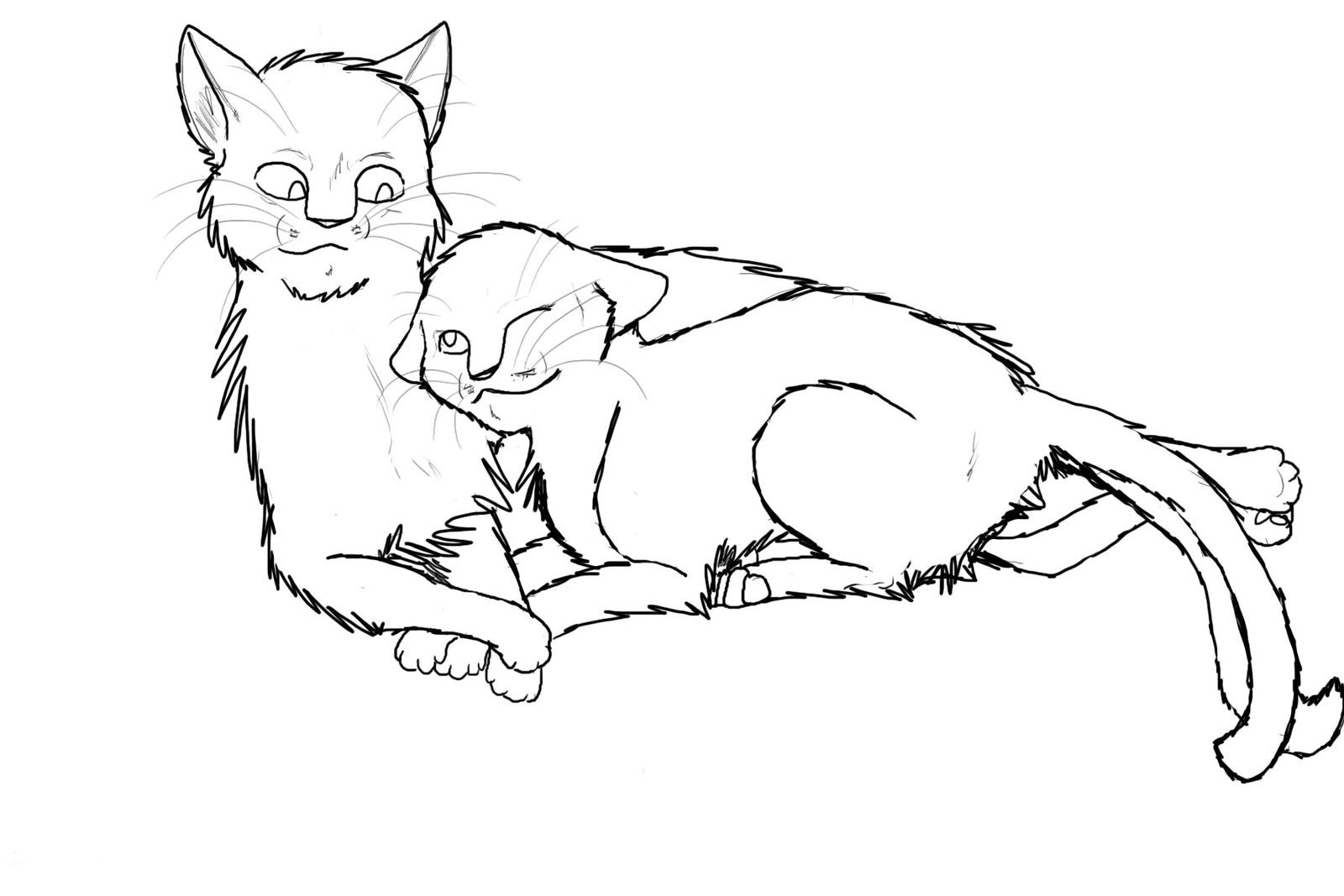 Warrior cats coloring pages pdf freee printable