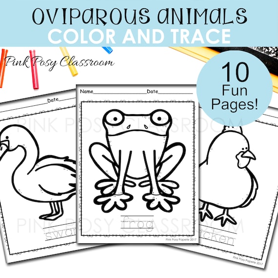 Oviparous animal coloring pages color and trace the letters animal activities for kids animal coloring pages for kids instant download