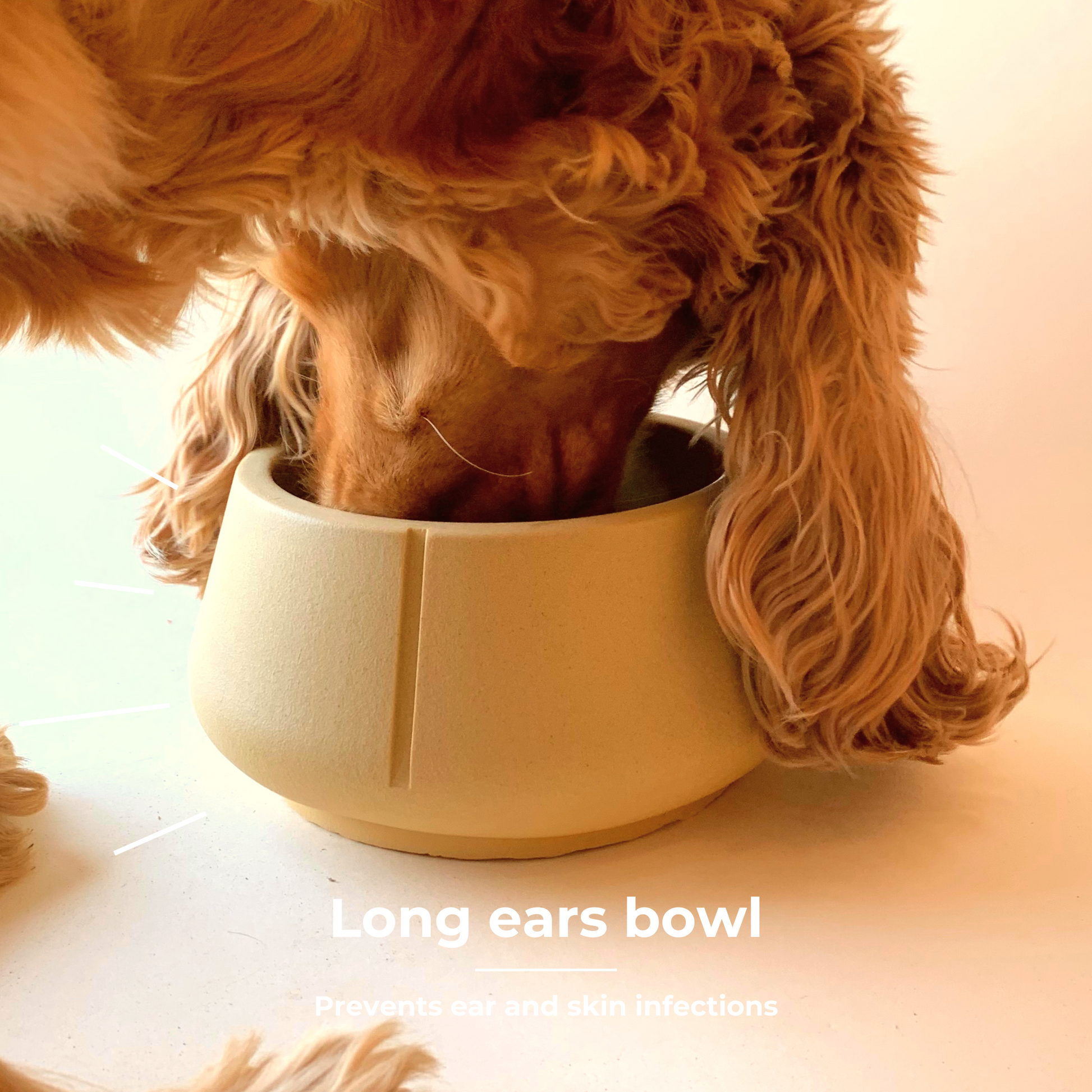 Long ears bowl â pino