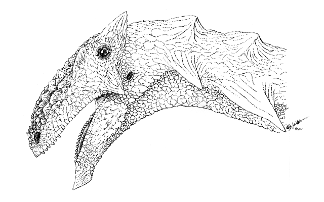 Cheeky mentary on ornithischians the bite stuff