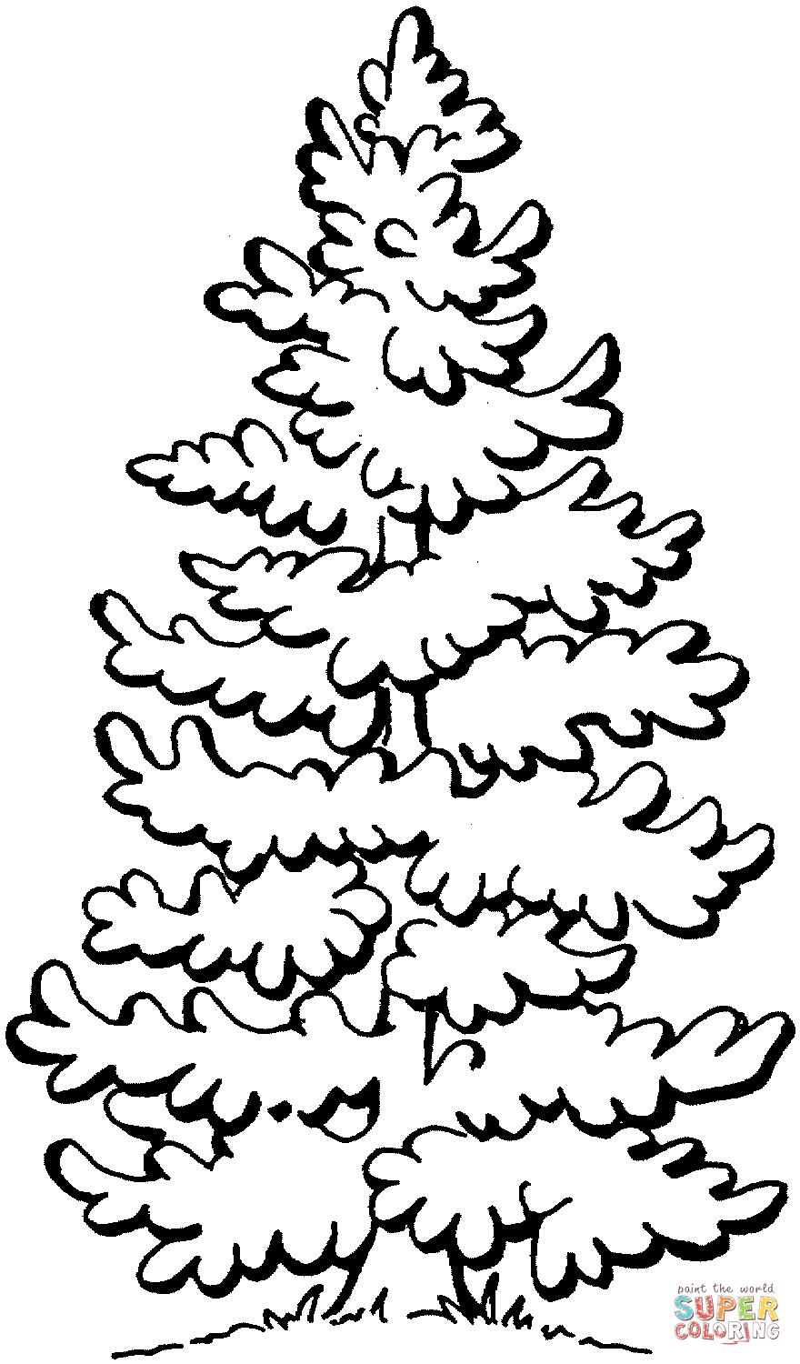 Beautiful pine tree coloring page free printable coloring pages