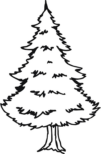 Trees coloring pages