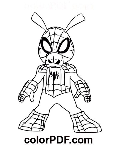 Spider