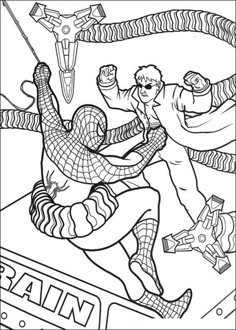 Spider