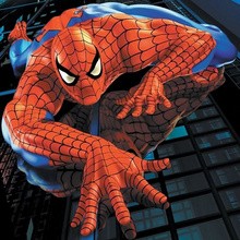 Spider