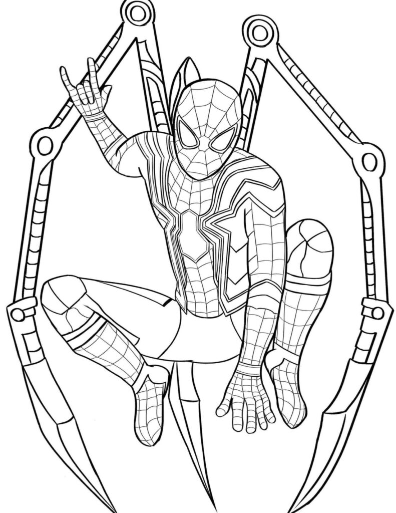 Spider