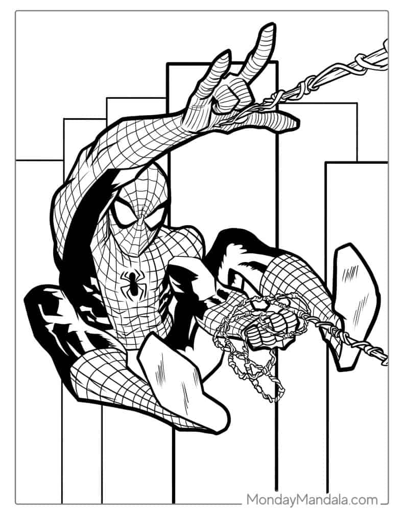 Spider