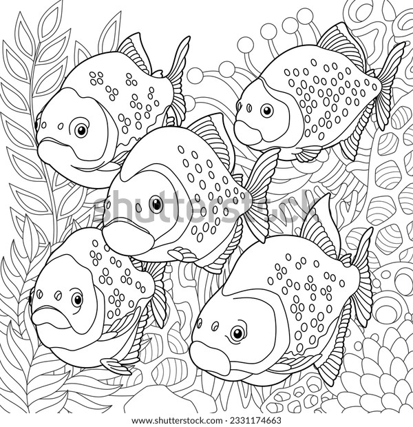 Piranha fishes coloring page outline sea stock vector royalty free