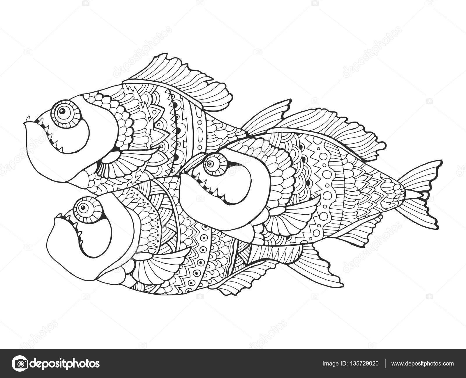 Piranha coloring book for adults vector stock vector by alexanderpokusay