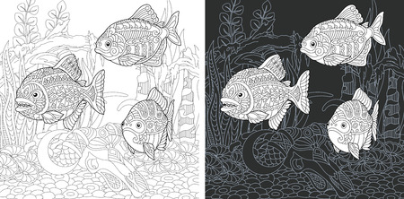 Coloring page coloring book colouring picture with piranha fish drawn in hand draw style antistress freehand sketch drawing vector illustration ù ùùø øªøµù ùù ù
