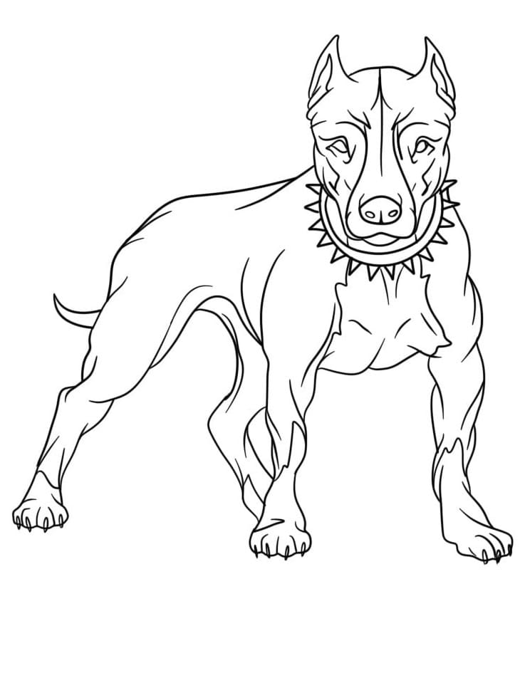 Cool pitbull dog coloring page