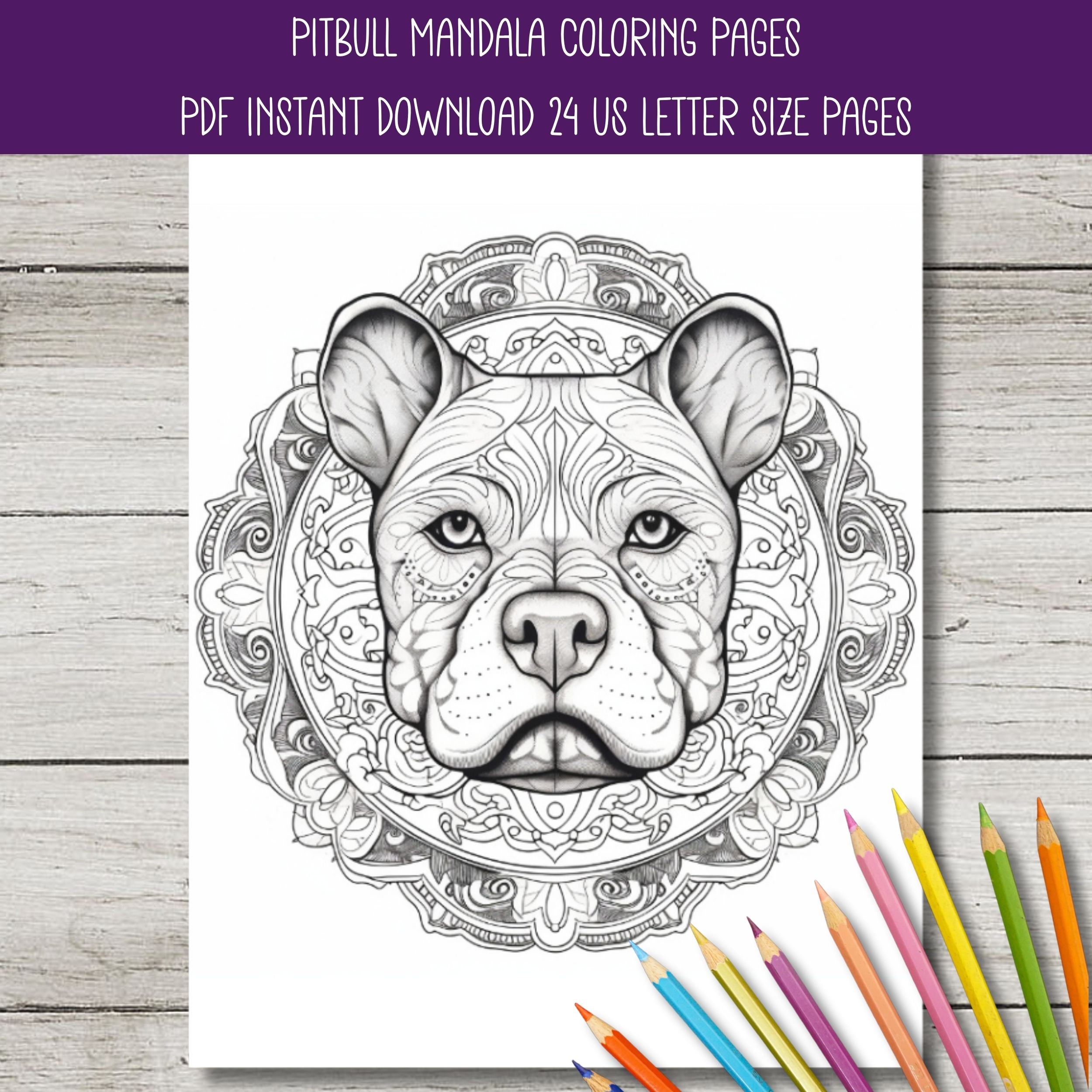 Pitbull mandala coloring pages for adults instant download of a pdf page pack pitbull terrier bully breeds staffordshire terrier