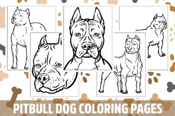 Pitbull dog coloring pages for kids girls boys teens birthday school activity