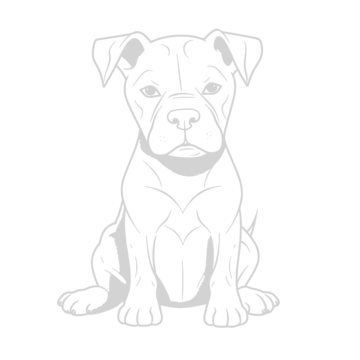 Coloring page of baby pitbull puppy outline sketch drawing vector baby drawing wing drawing puppy drawing png and vector with transparent background for free download