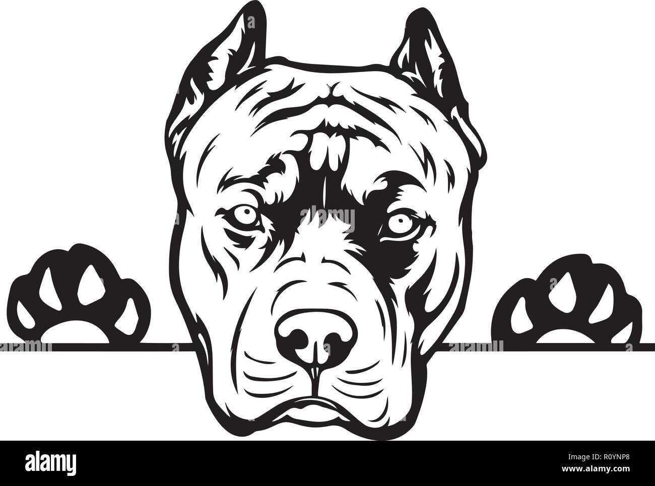 Pitbull art hi