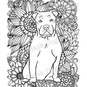 Pitbull coloring