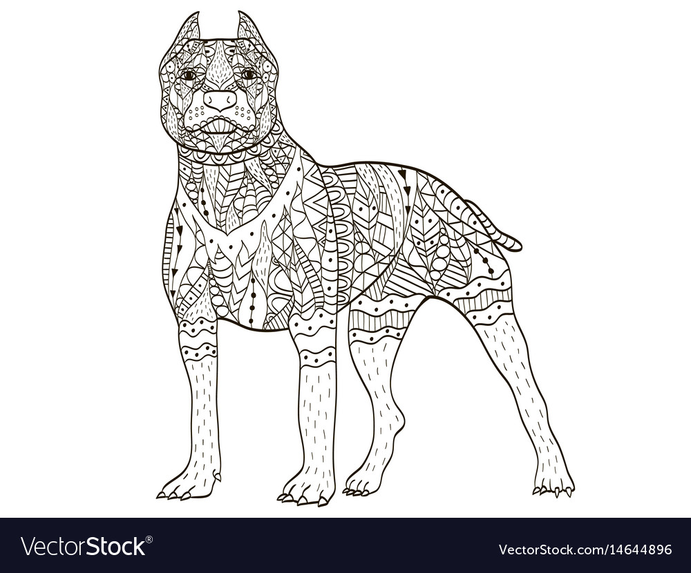 American pit bull terrier coloring book royalty free vector