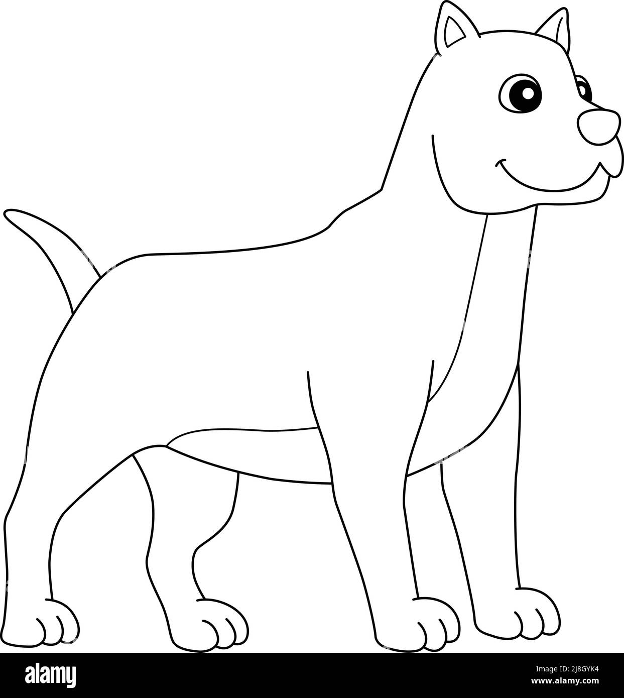 Pitbull black and white stock photos images