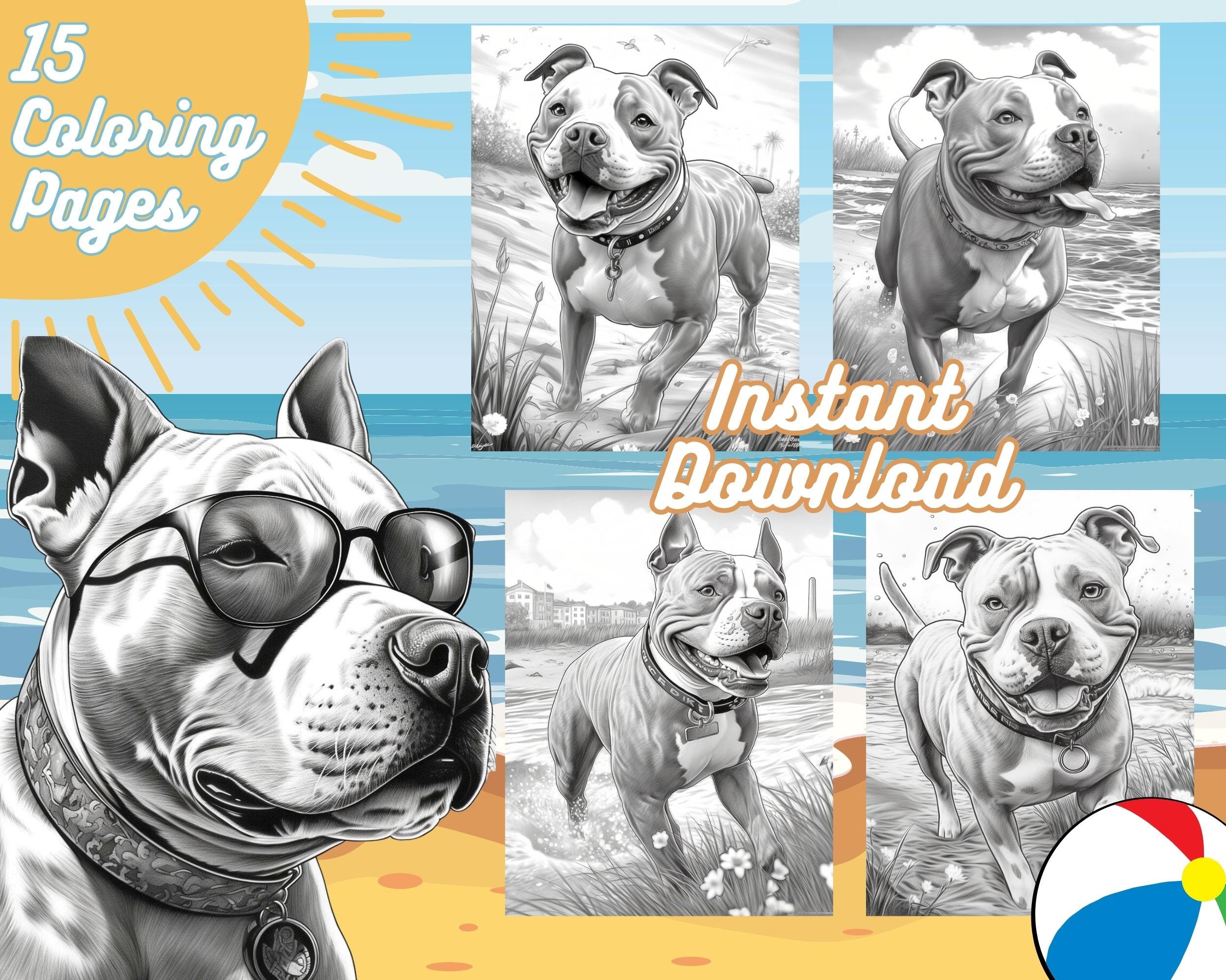 Pitbull coloring