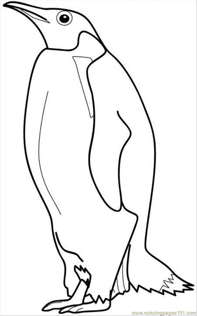 Free penguin printable coloring pages download free penguin printable coloring pages png images free cliparts on clipart library