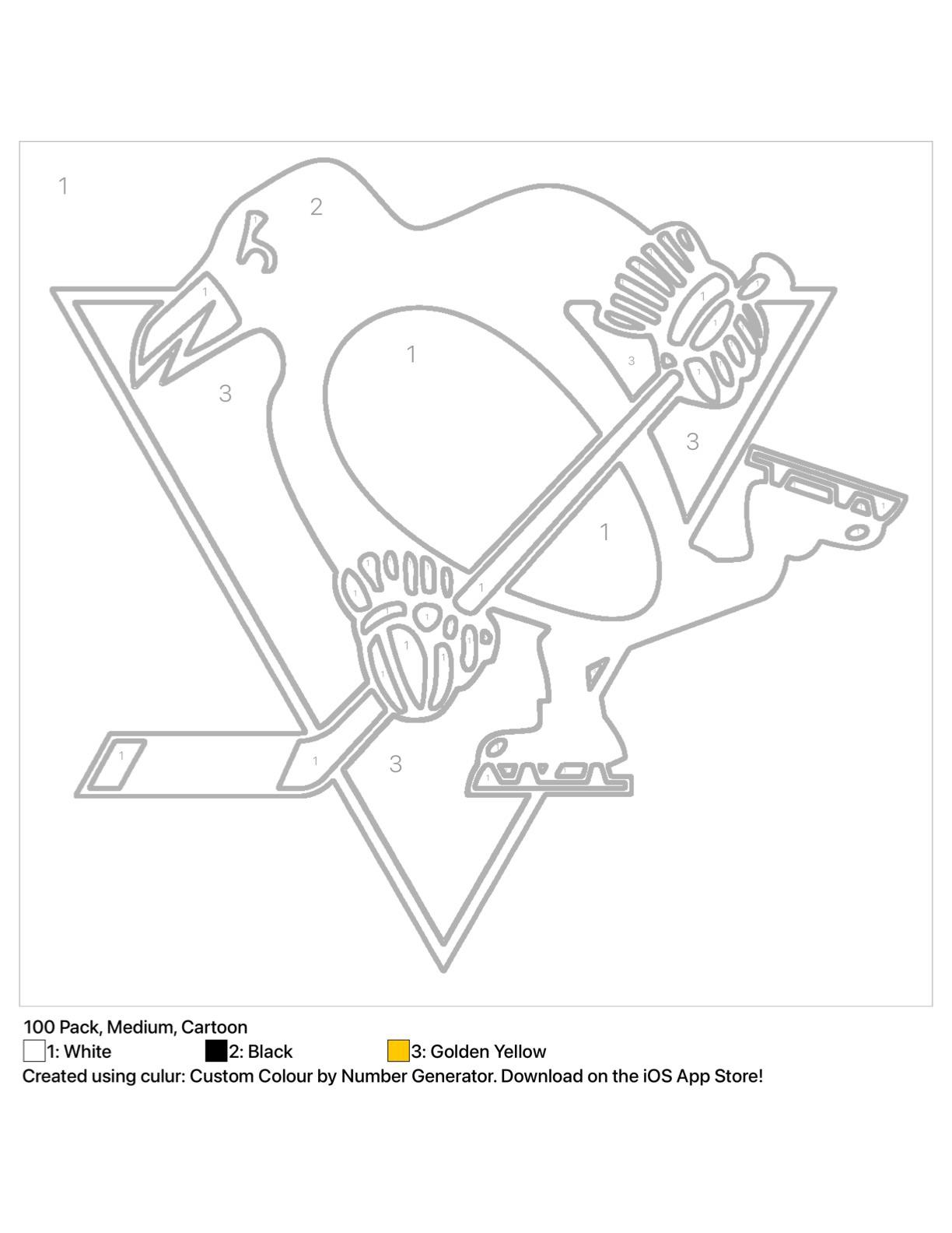 Nhl colour by number rhockey
