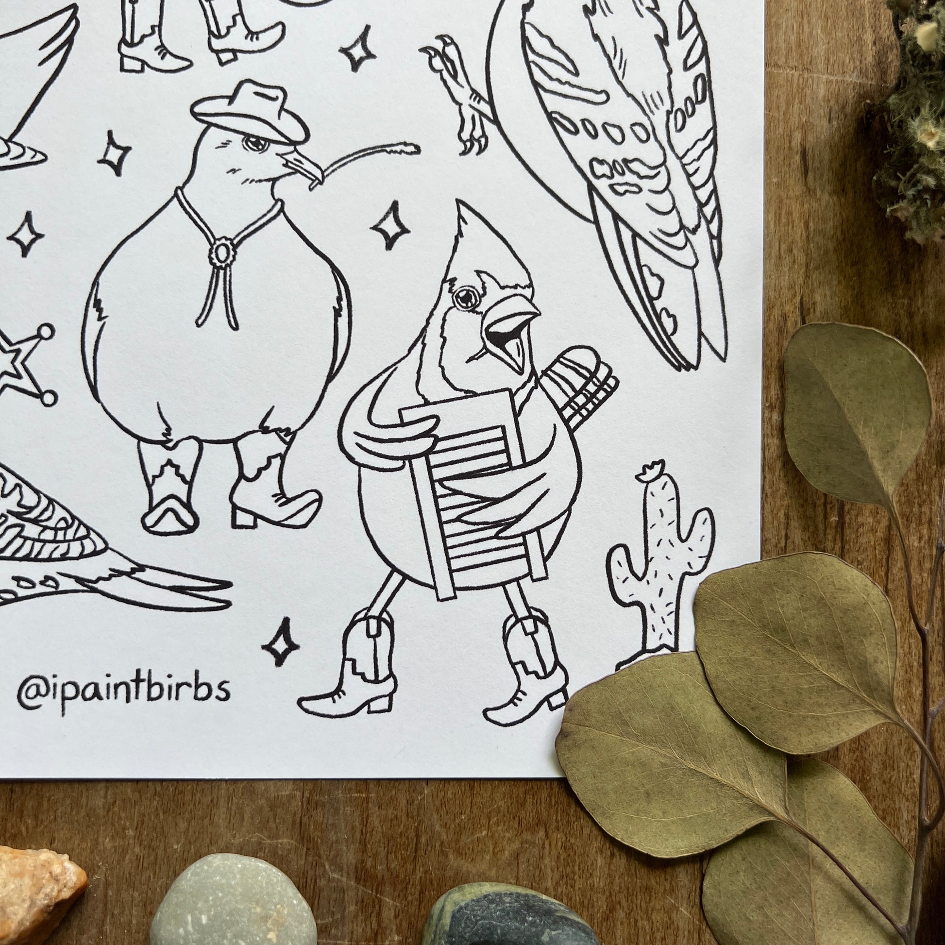 Yeehaw birbs coloring page â liz clayton fuller natural science illustration