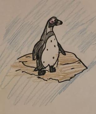 Zoo coloring pages