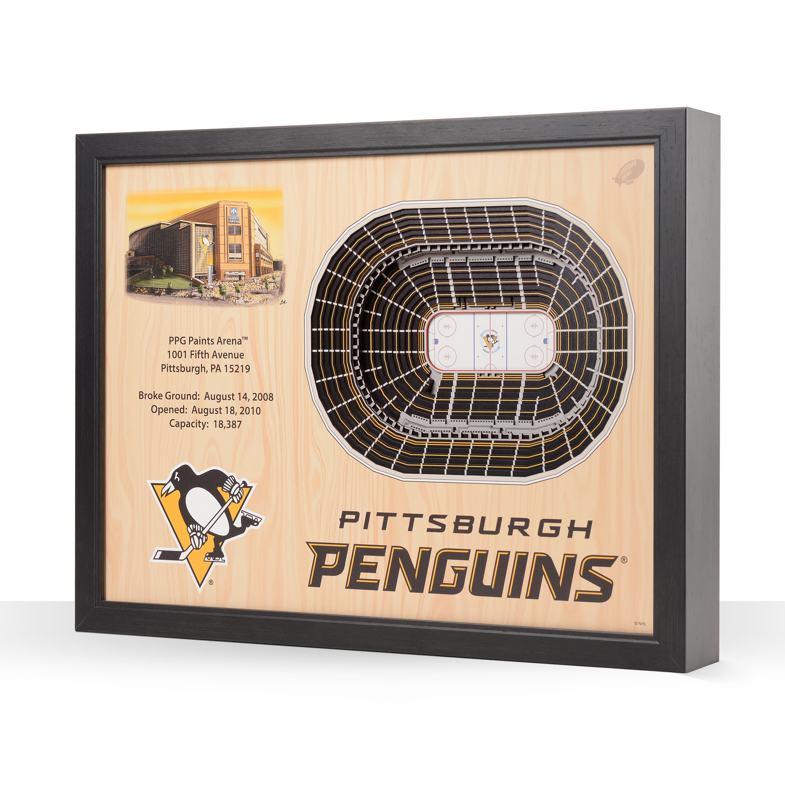 Stadiumviews pittsburgh penguins youthefan brown floater frame