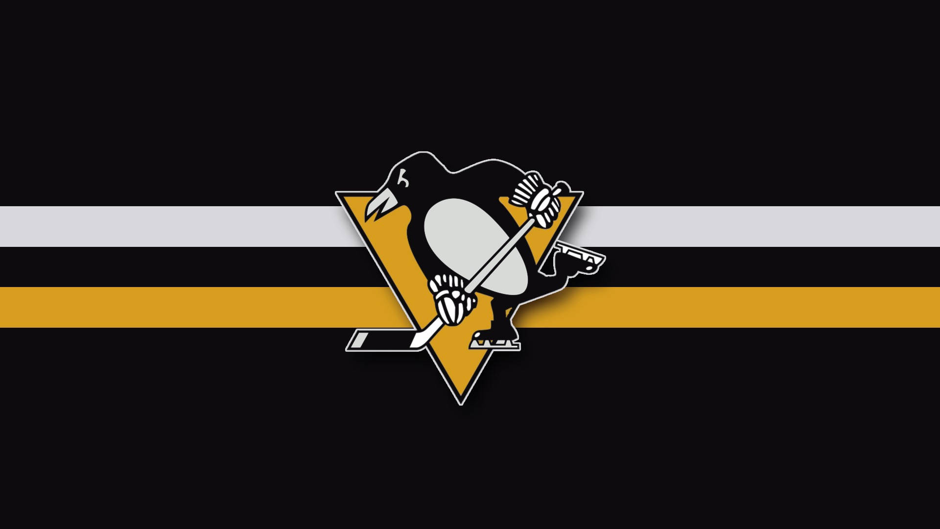 Pittsburgh penguins