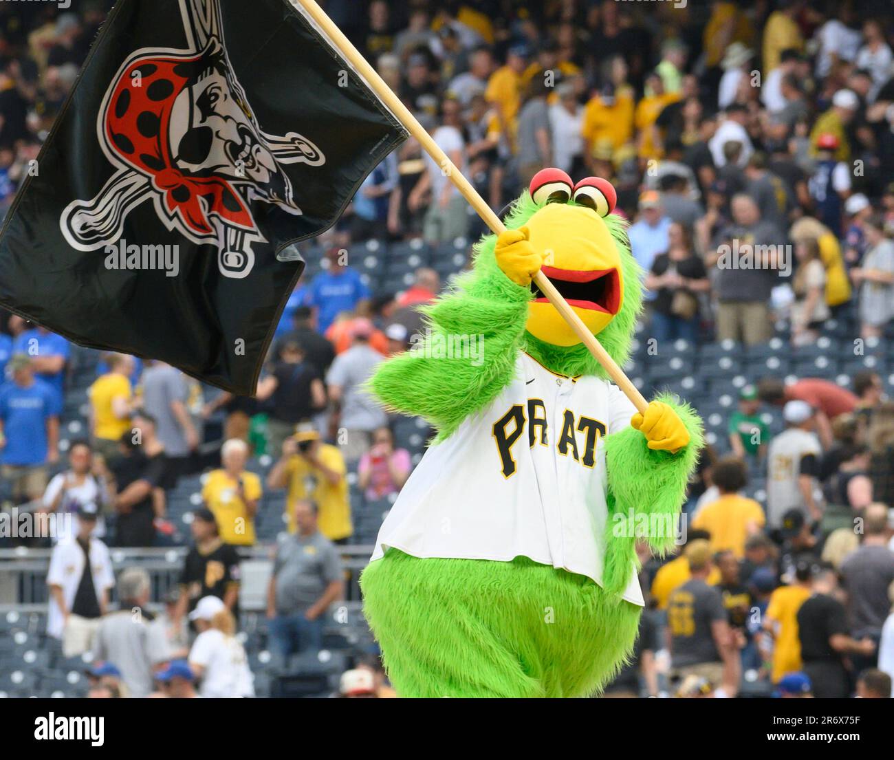 Pirates mascot hi