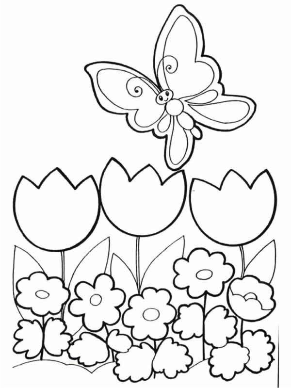 Fiori