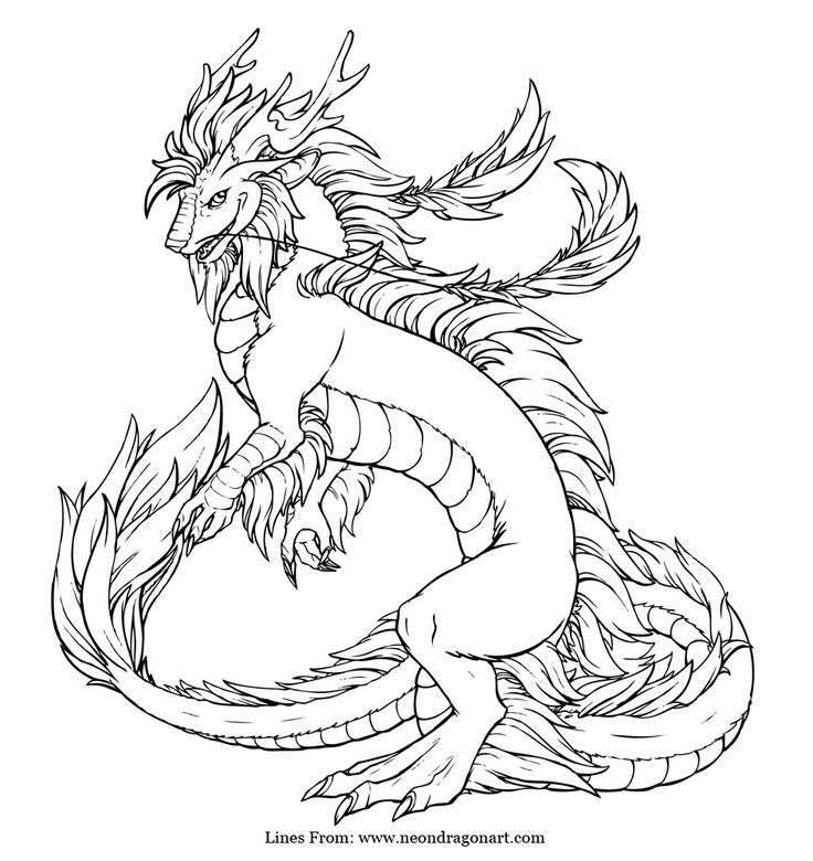 Realistic dragon coloring pages
