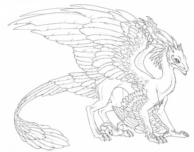 Pin by pinner on coloring fantasy feathered dragon dragon artwork dragon coloring page