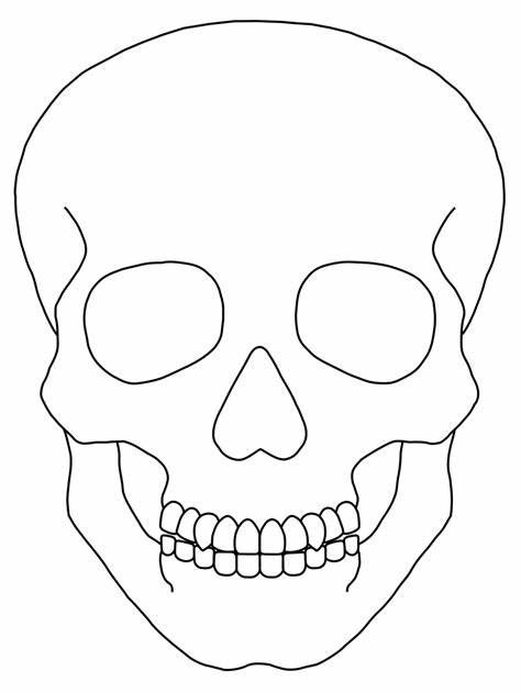Blank sugar skull template