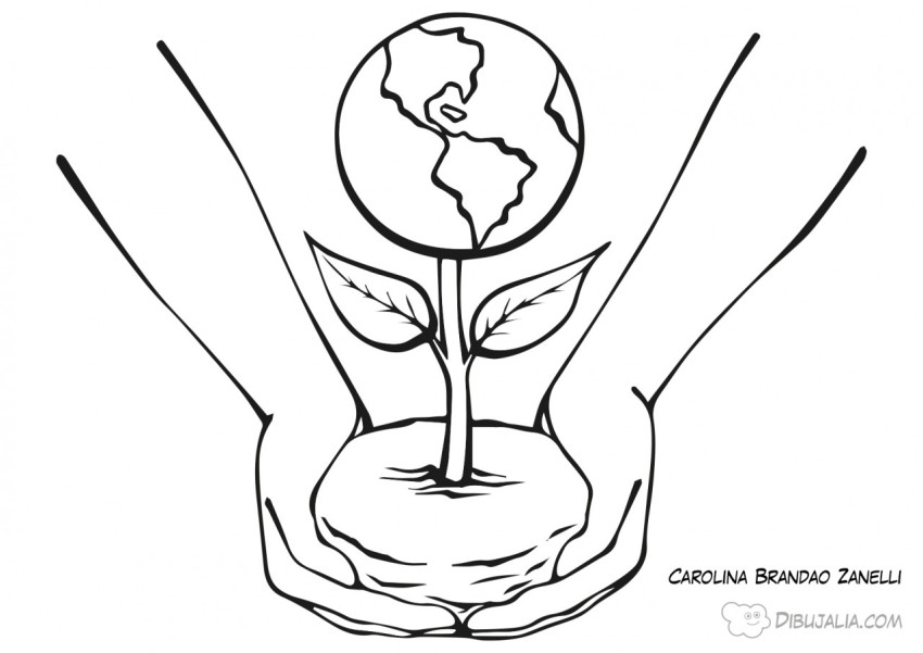 Planta planeta tierra