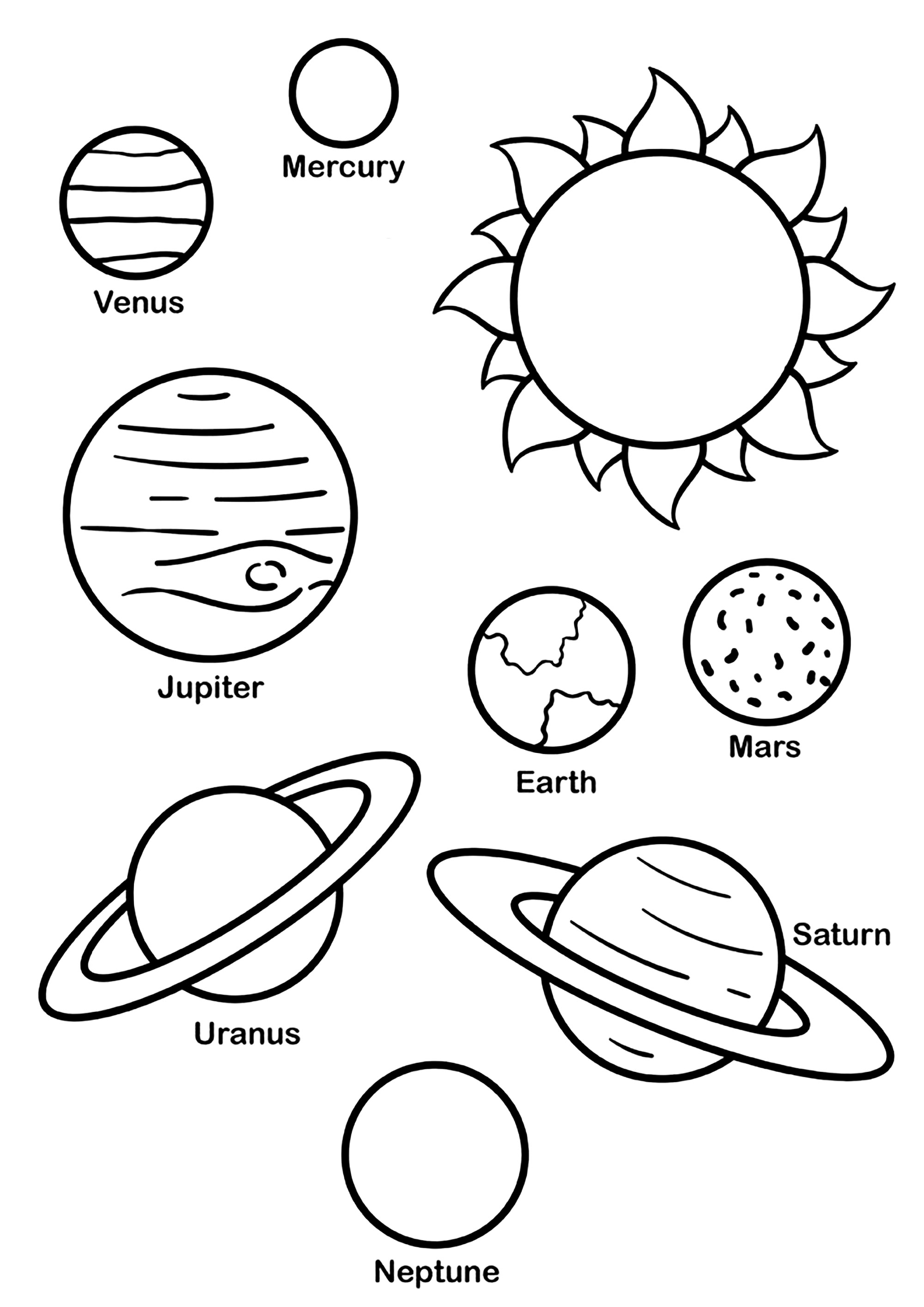 Solar system the sun and the eight plas