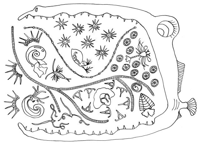For coloring basin