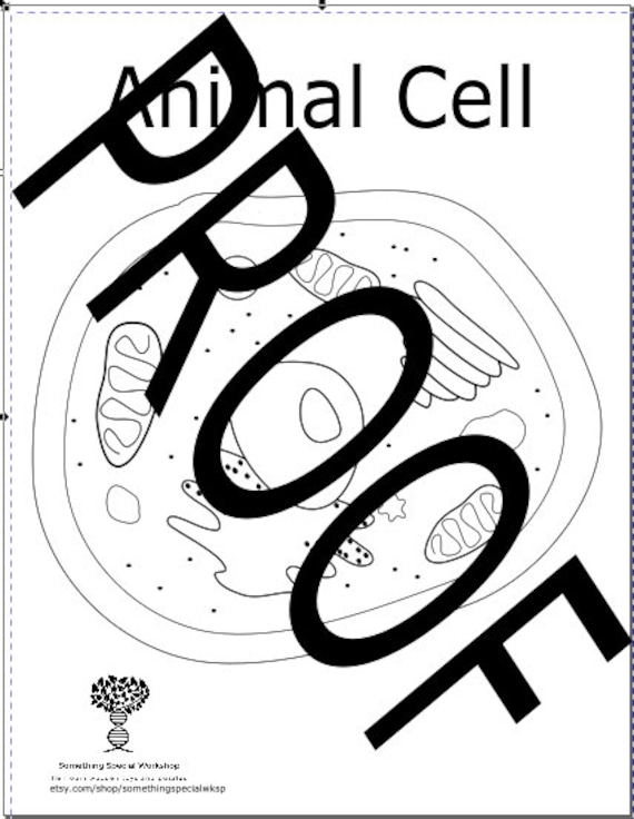 Animal cell coloring page instant download