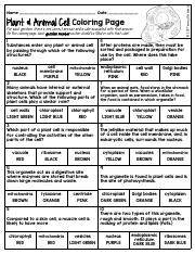 Plant and animal cell coloring page learn cell structures and course hero