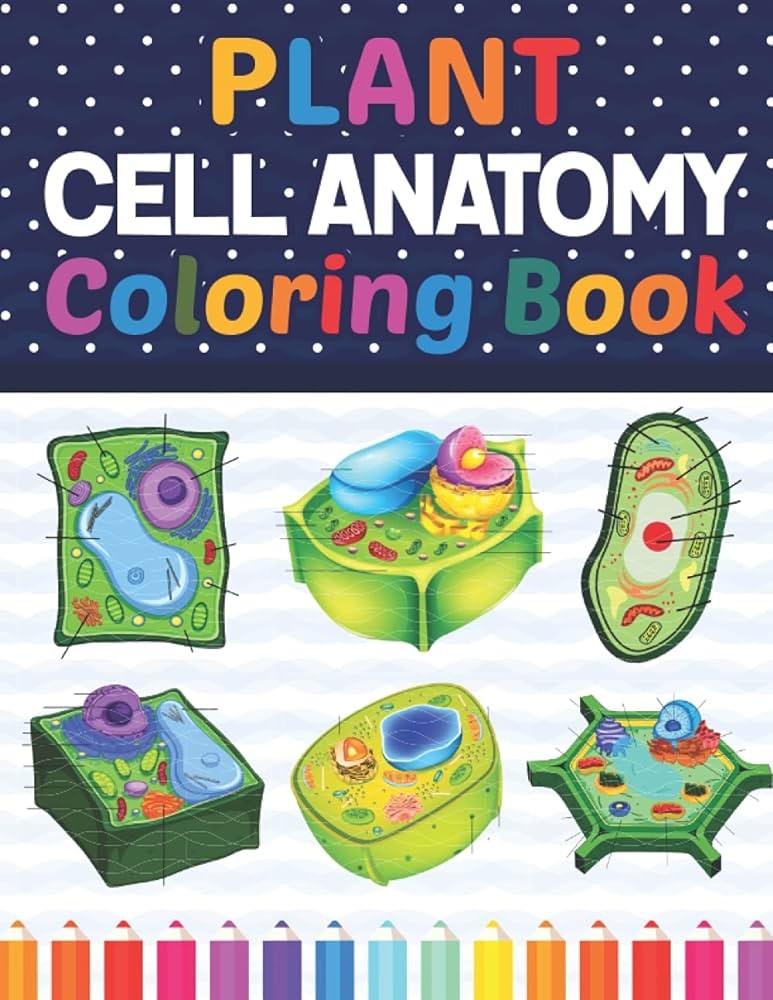 Plant cell anatomy coloring book plant cell anatomy coloring workbook for kids boys girls new surprising magnificent learning structure for anatomy teachers plant cell coloring workbook by