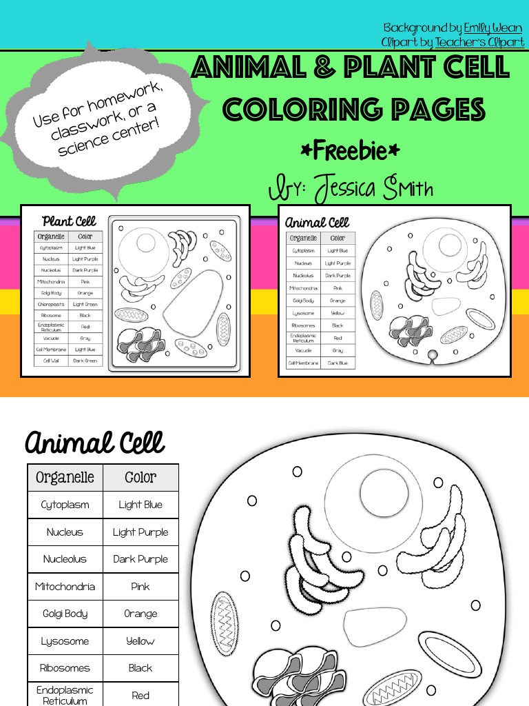 Animal and plant cell match and color pages freebie pdf