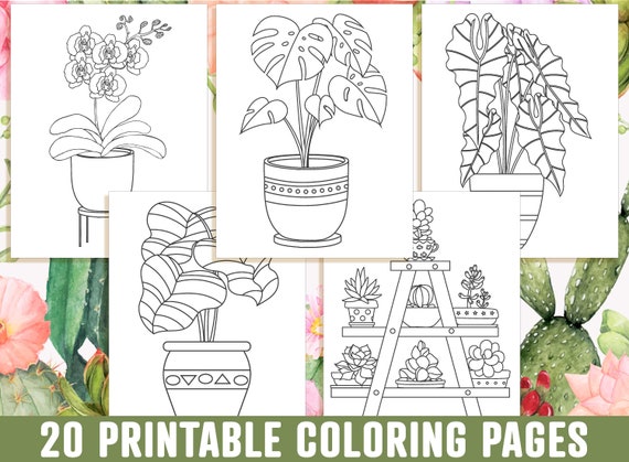 Houseplant coloring pages printable adorable succulent cactus houseplant coloring pages indoor plant coloring book instant download
