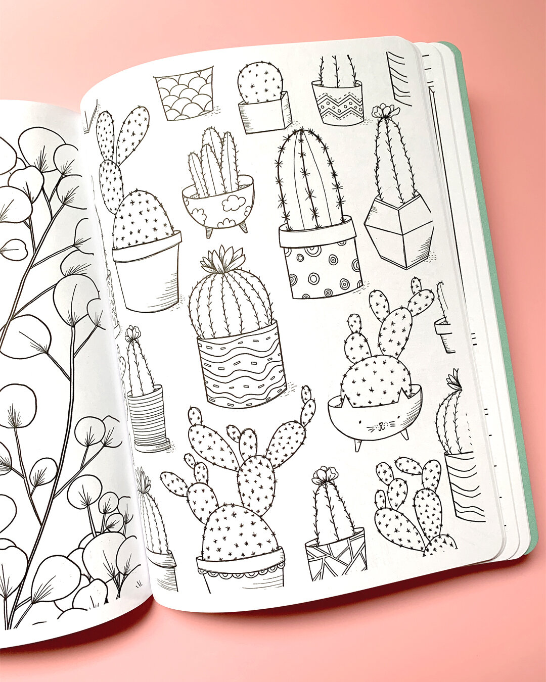 Life with plants â katie vaz