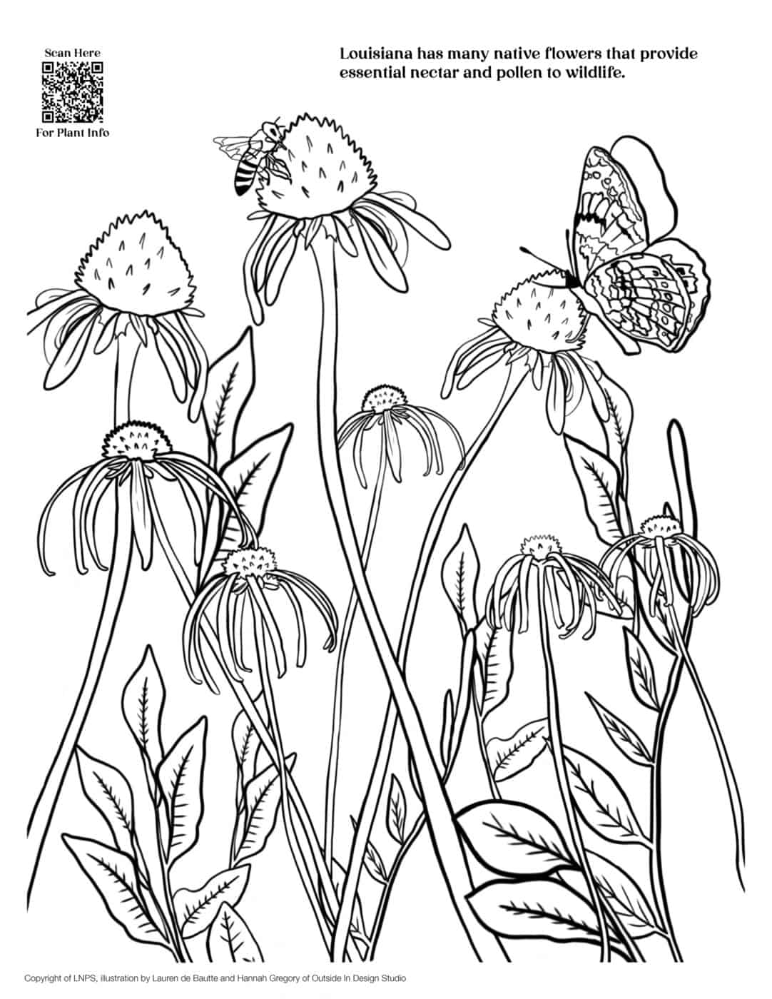 Free coloring pages for download