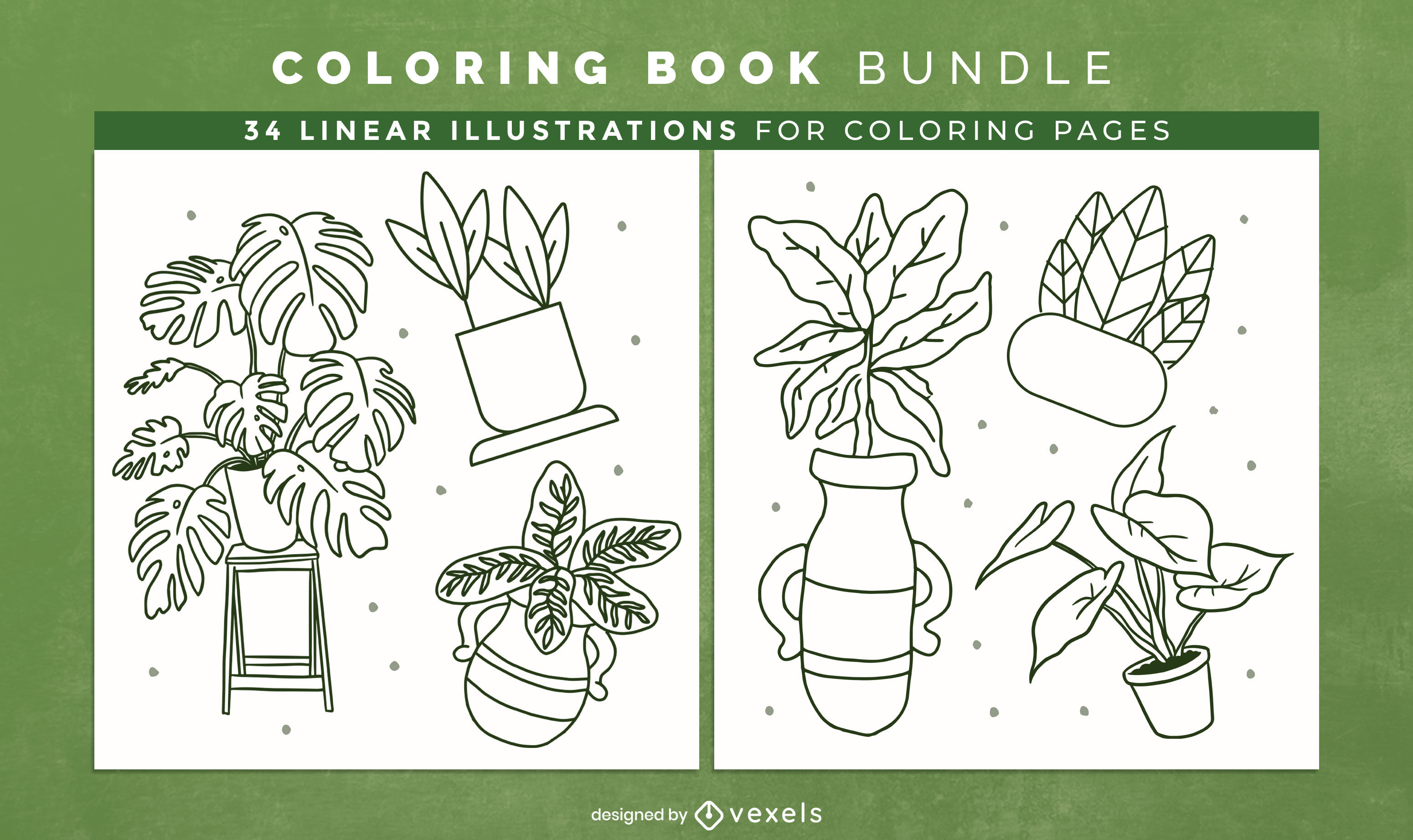 House plants coloring book kdp interior design vector download