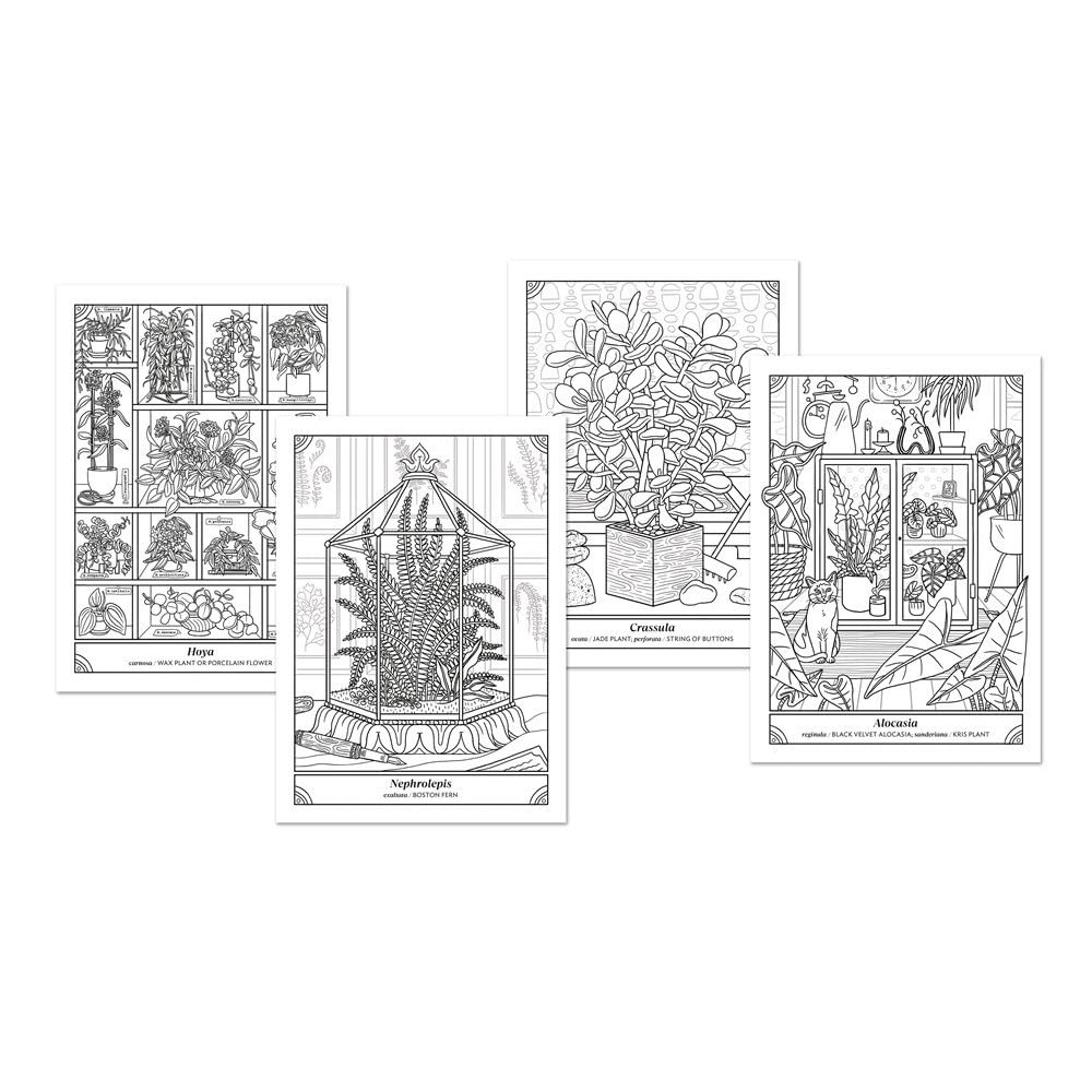 The happy houseplant coloring book â backyard botanist
