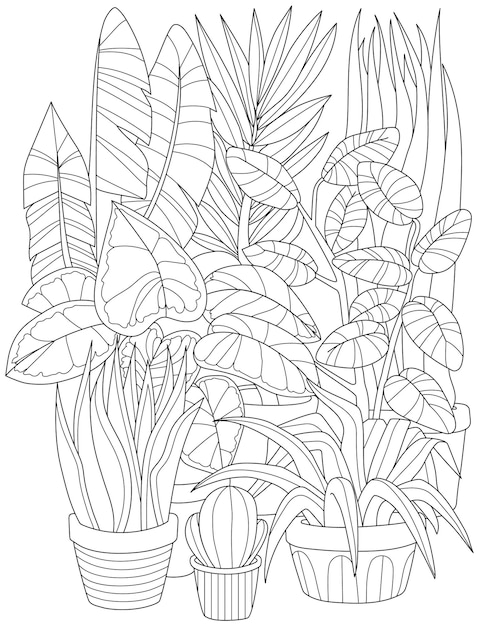 Plant coloring book vectors illustrations for free download